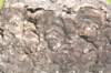 stromatolites_small.jpg