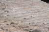 wavemarksinquartzite_small.jpg